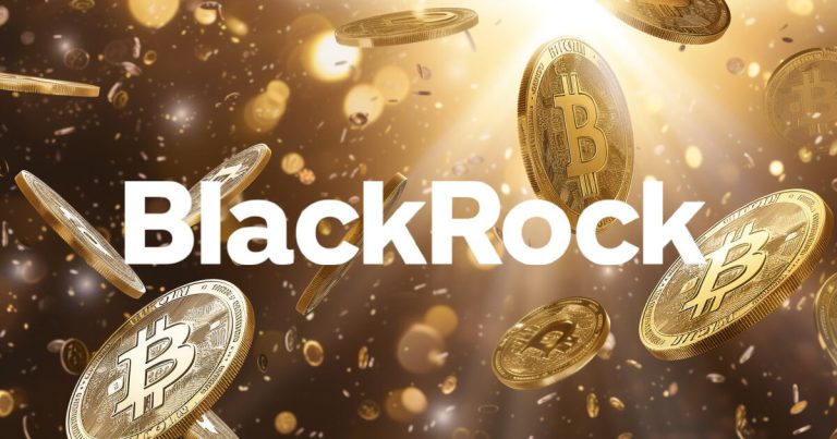 Blackrock Exec Believes That Bitcoin's Price Does Not Reflect Its